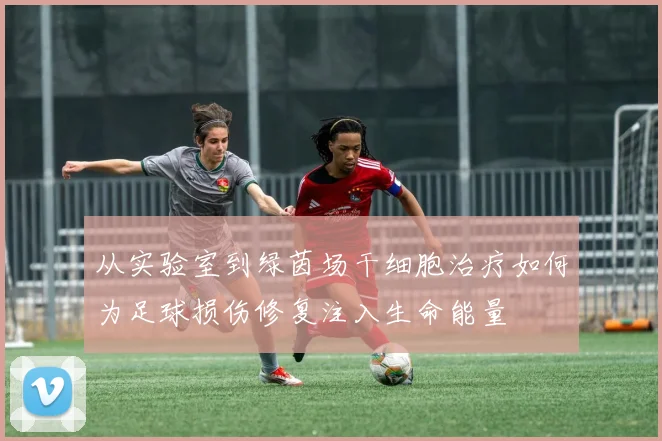 从实验室到绿茵场干细胞治疗如何为足球损伤修复注入生命能量