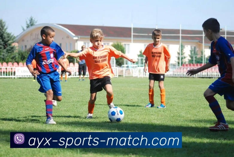 爱游戏体育平台生态图